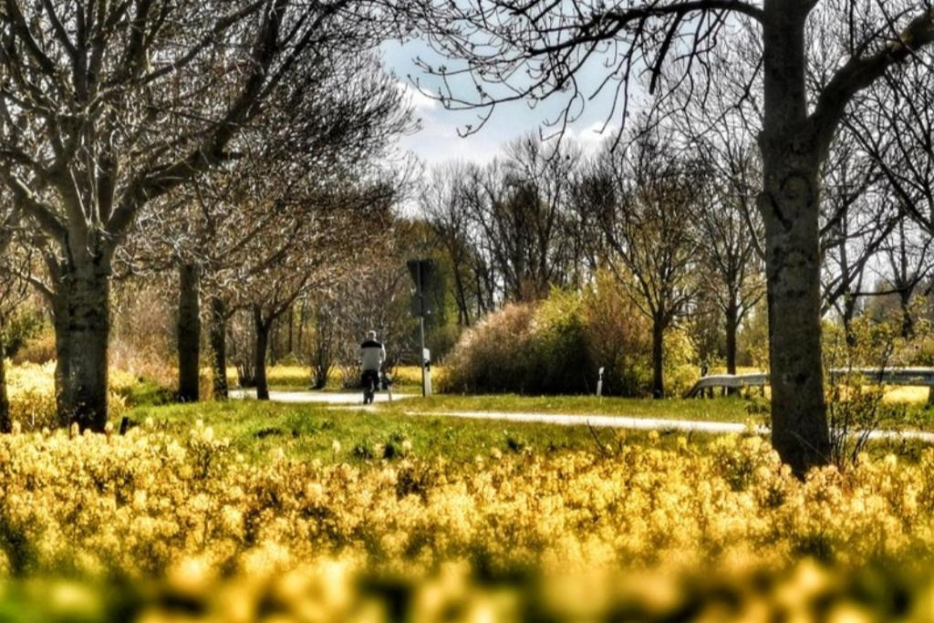 Apartmentvermittlung Mehr Als Meer - Objekt 11 Timmendorfer Strand Kültér fotó